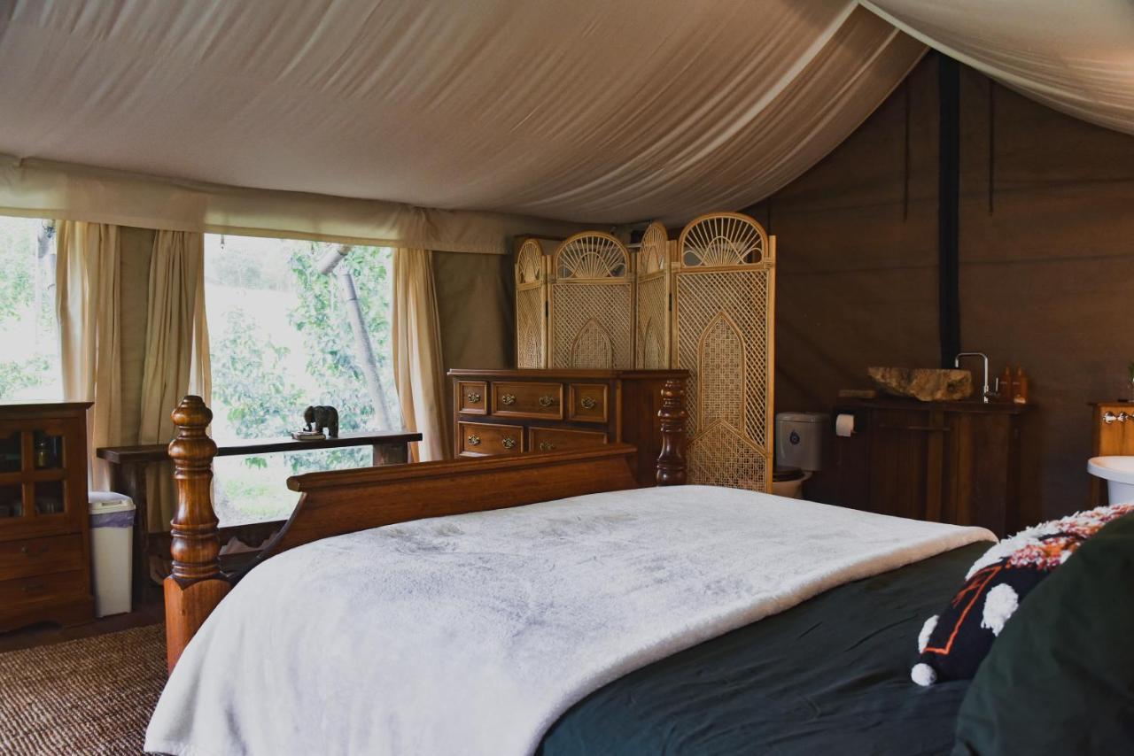 Silk Pavilions Glamping Mount Burrell Exterior foto