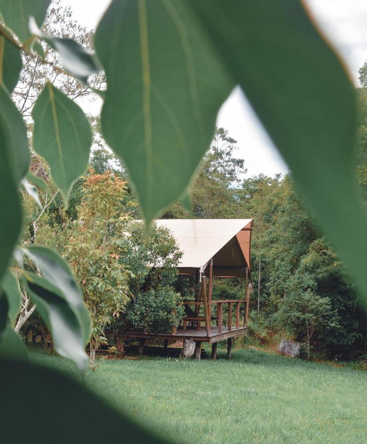 Silk Pavilions Glamping Mount Burrell Exterior foto