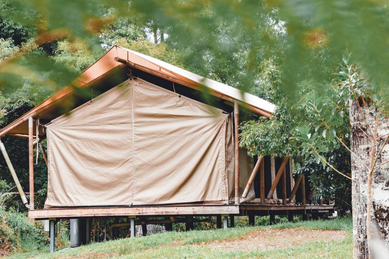 Silk Pavilions Glamping Mount Burrell Exterior foto